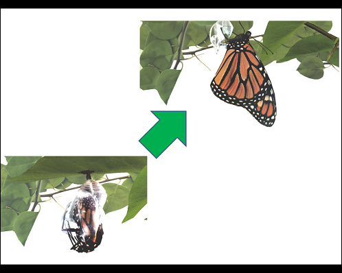 Frustrasi dan Arogan Beda Tipis